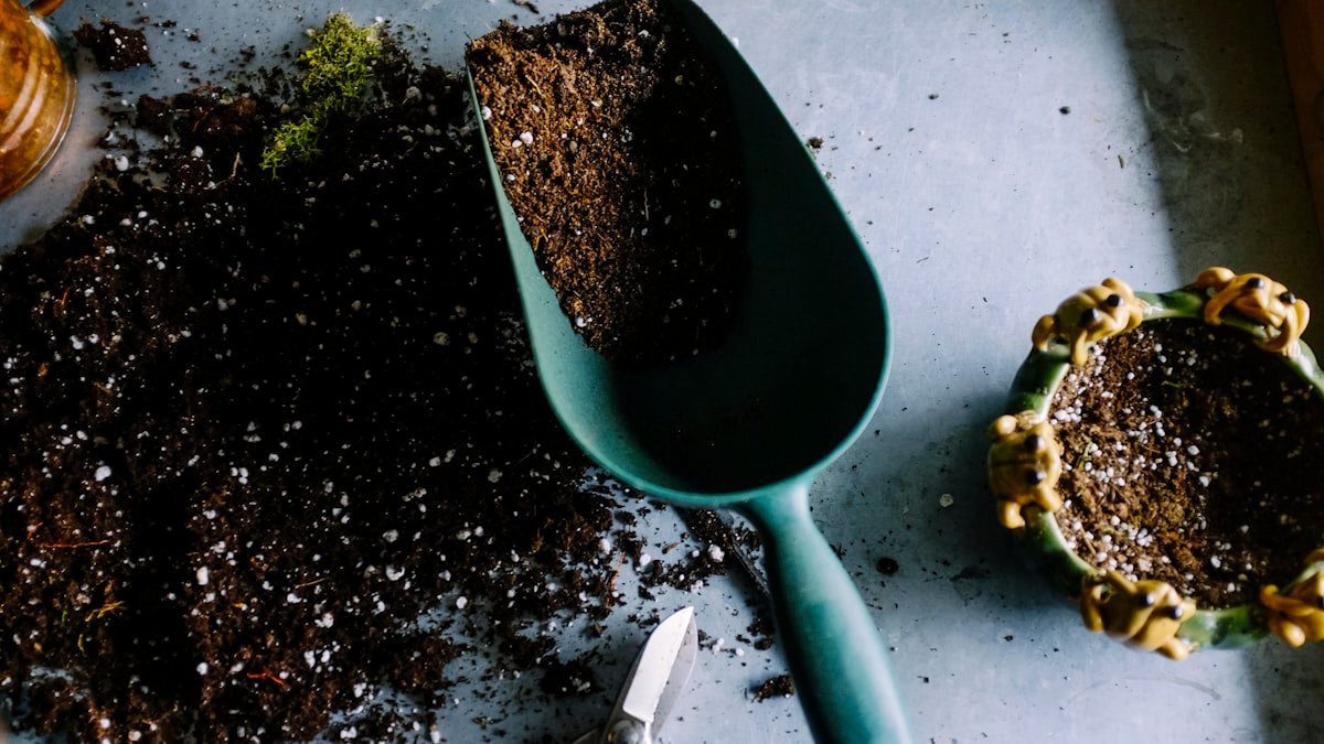 Entretenir son jardin au fil des saisons