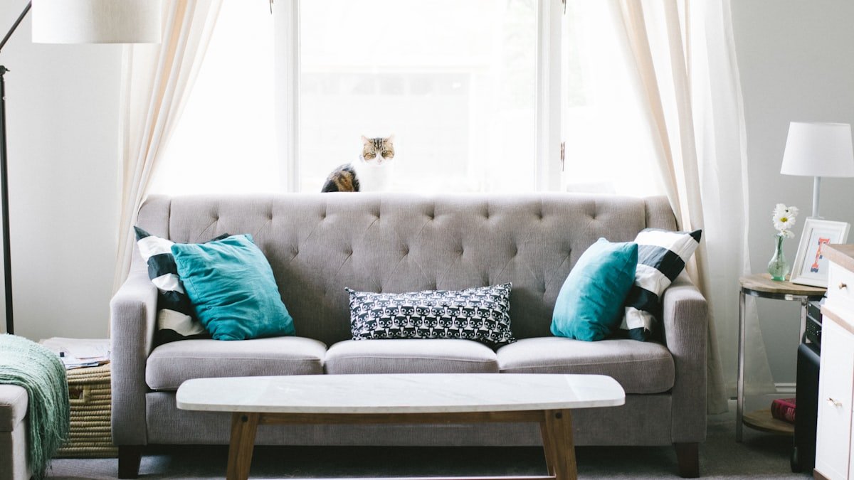 Salon cosy : 8 idées déco pour une pièce chaleureuse