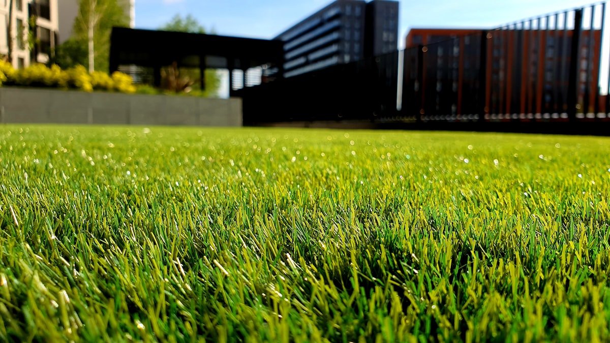 Jardin paysager : concevoir un extérieur beau et structuré