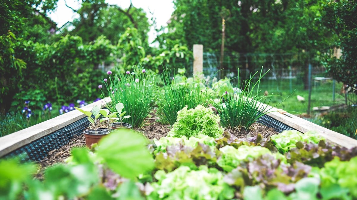 Jardiner selon la saison : le calendrier du jardinier, mois par mois