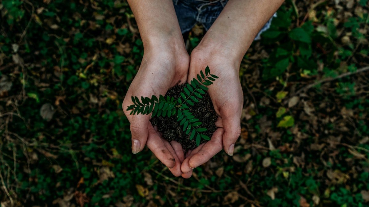 Écologie au quotidien : des gestes utiles, sans culpabiliser