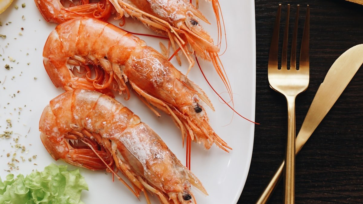 Fruits de mer : bien les choisir, conserver et cuisiner
