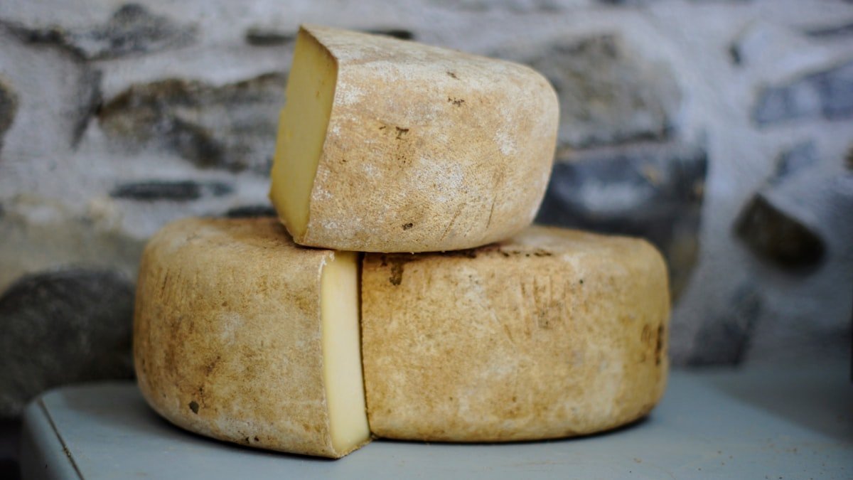 Plats au fromage : réussir gratins, fondues et plats gourmands