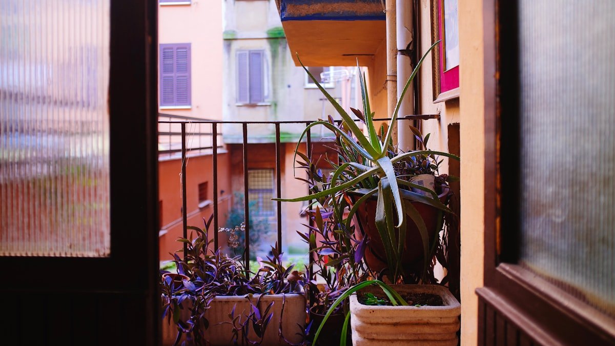 Cultiver ses herbes aromatiques, même sans jardin