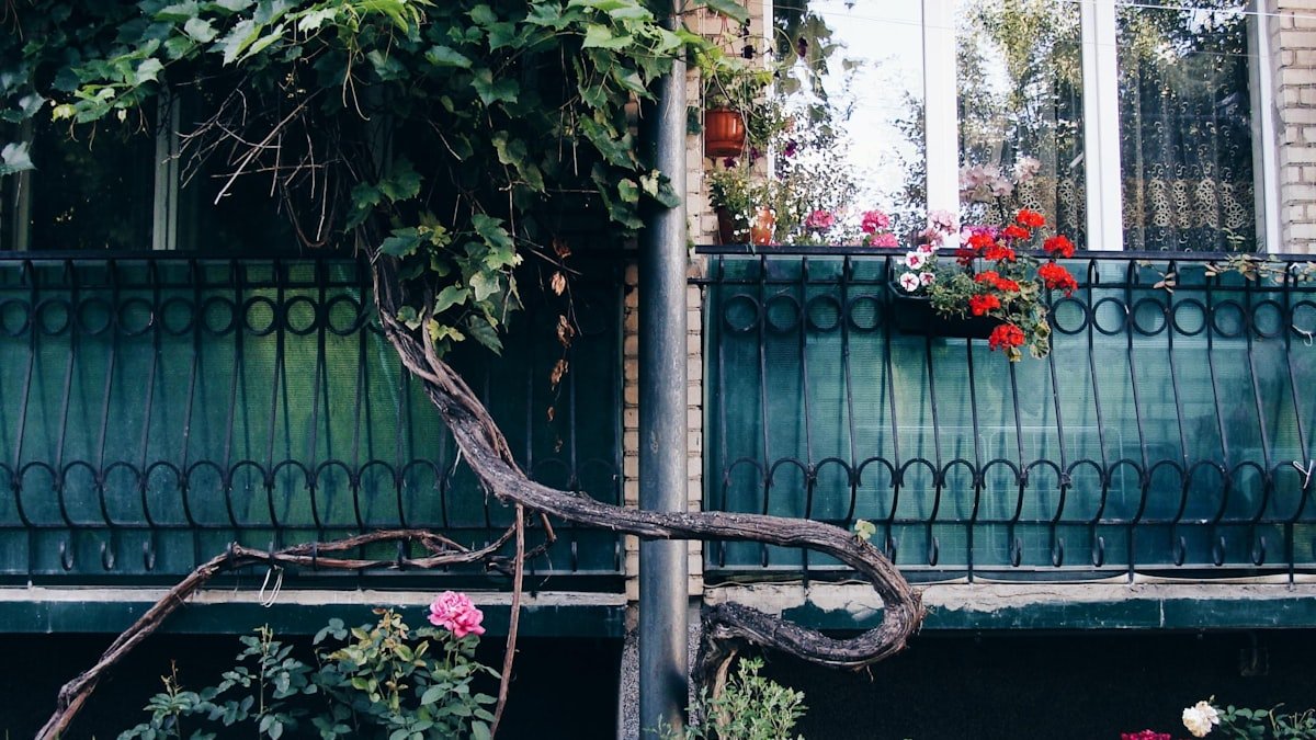 Un balcon fleuri tout l’été : les fleurs faciles et l’entretien qui font la différence