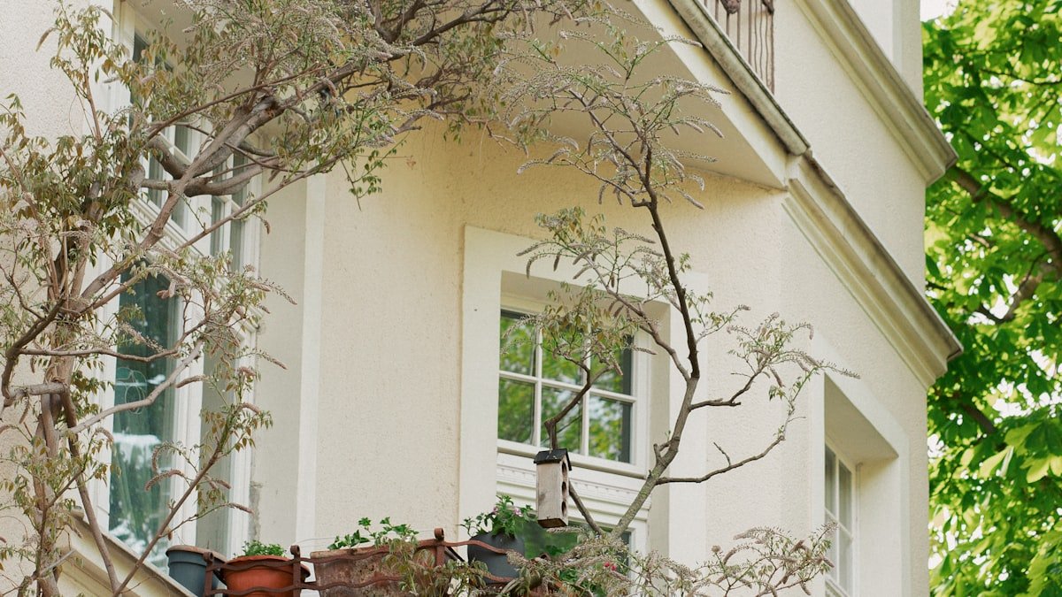 Les plantes grimpantes : habiller un mur, une pergola ou un balcon