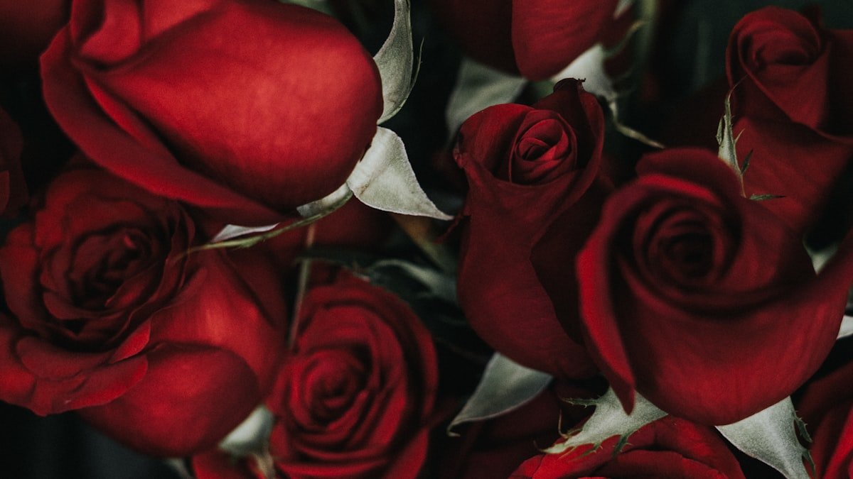 Faire durer un bouquet de fleurs coupées : les gestes simples qui prolongent la fraîcheur