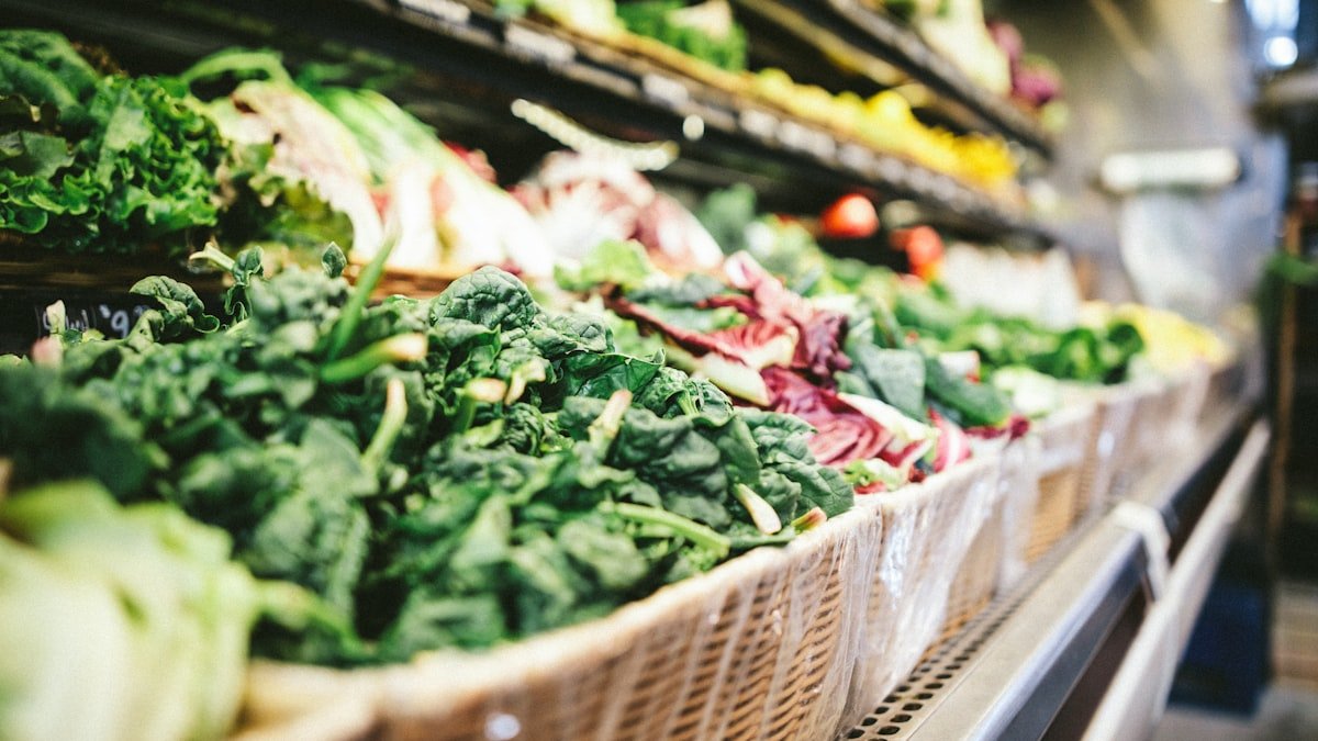 Conserver les légumes d&rsquo;été : réfrigérateur, congélation et bons délais