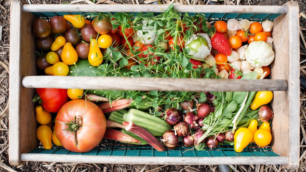 L’entretien du jardin à l’automne : les gestes de l’arrière-saison