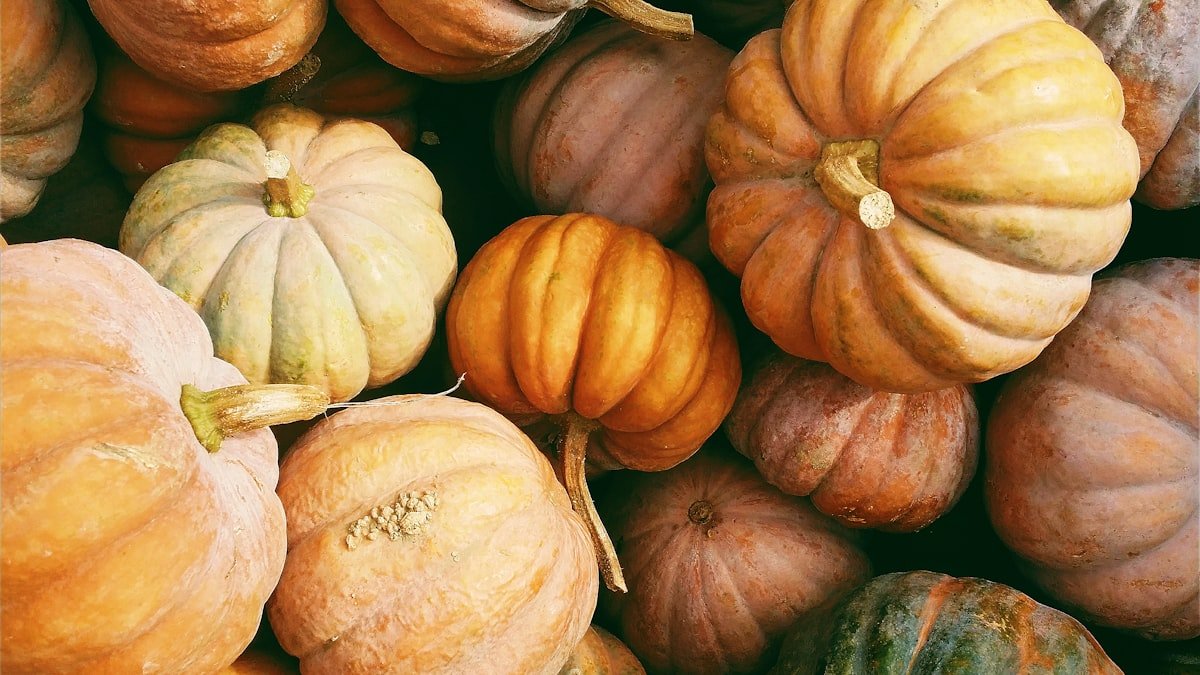 La courge et le potiron : bien les choisir et les cuisiner à l’automne