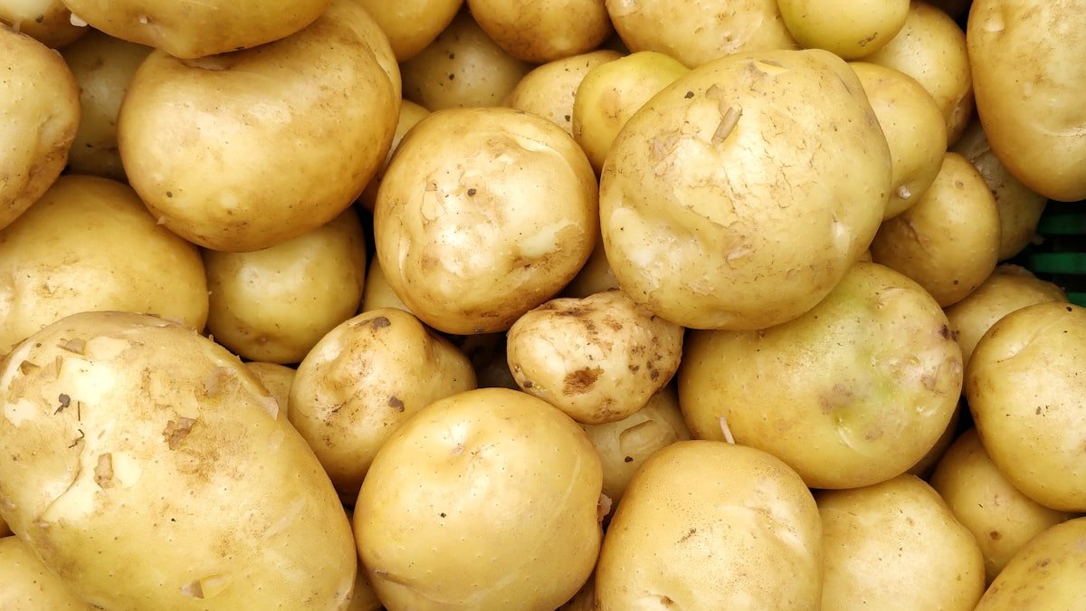 La pomme de terre au four : la bonne température, les variétés et l’astuce d’une chair fondante
