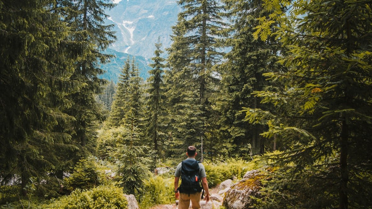 Bouger au quotidien : pourquoi la marche et l&rsquo;activité régulière protègent la santé