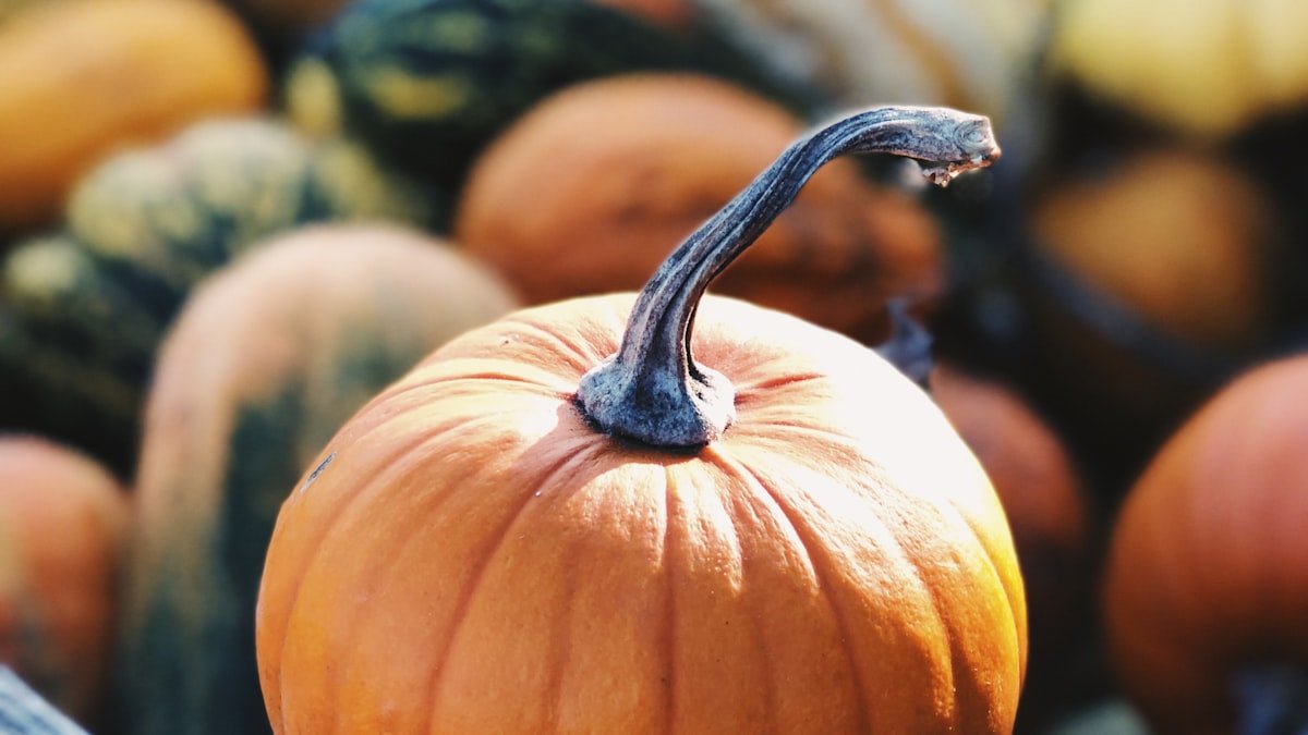 Décorer sa maison pour l’automne : courges, feuillages, bougies et matières douces