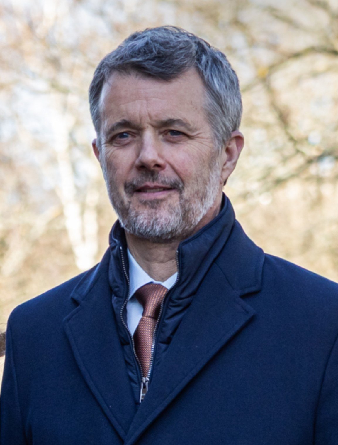 Le roi Frederik X du Danemark, portrait
