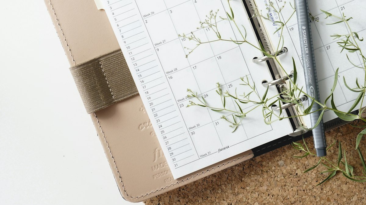 Bilans et dépistages des femmes : le calendrier santé à connaître, âge par âge