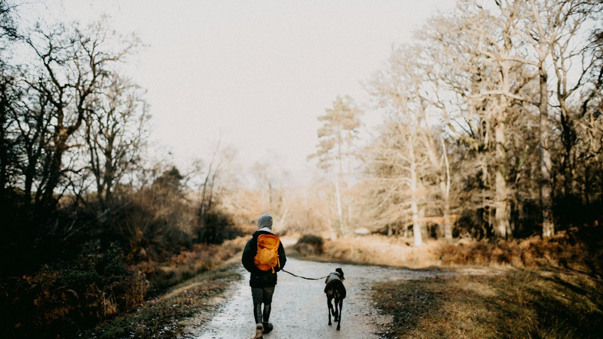Promener son chien quand il fait froid : sécurité, confort et bons réflexes