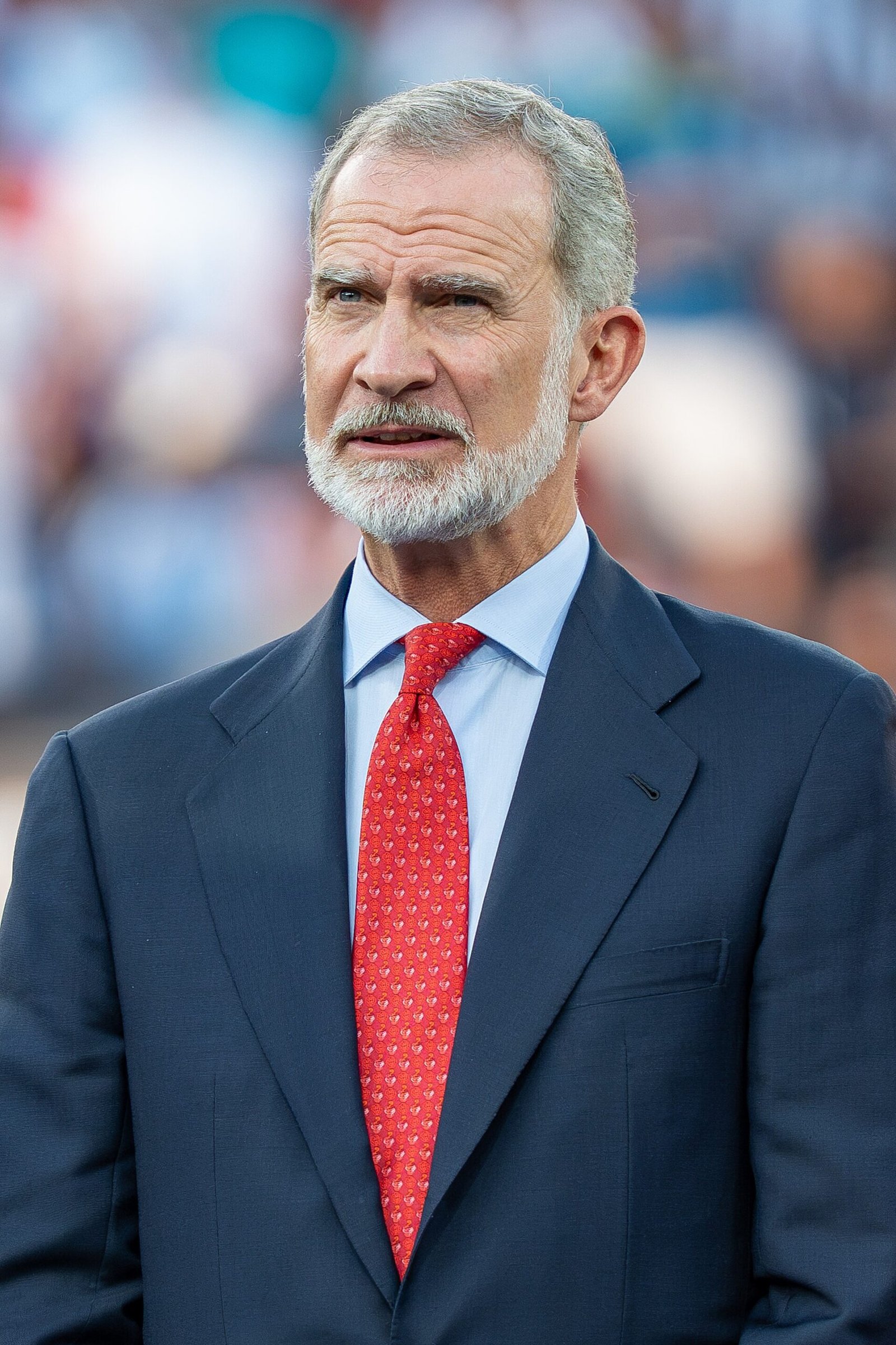 Le roi Felipe VI d'Espagne